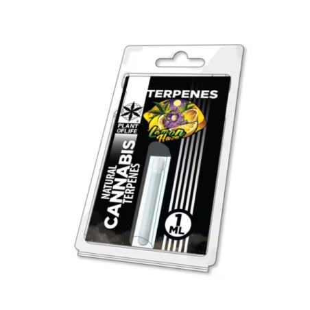 TERPENE – LEMON HAZE 1 ML | PLANT OF LIFE