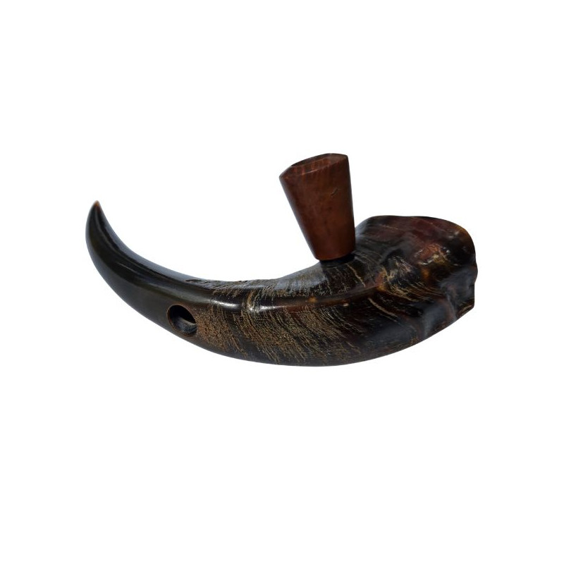 Bøffelhorn Tjubang Bruyererod Hoved 25 cm