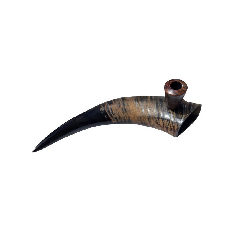 Bøffelhorn Tjubang Bruyererod Hoved 34 cm