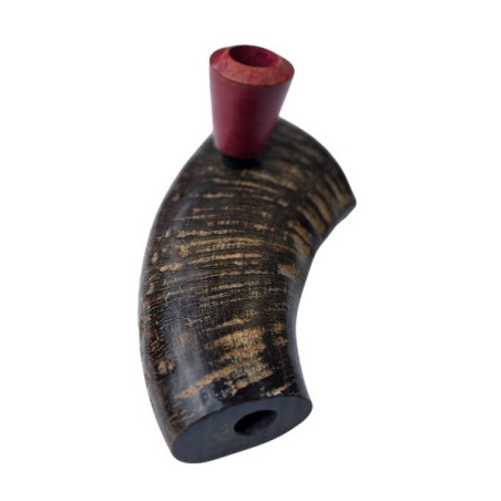 Bøffelhorn Tjubang Bruyererod Hoved 18,5 cm