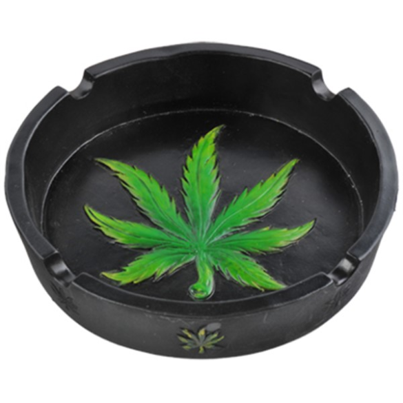 Cannabis Cannabis