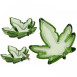 Glas Askebæger Cannabis Blad