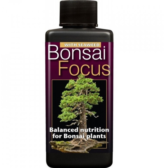 Growth Technology Bonsai Focus