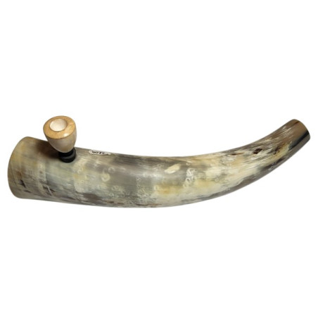 Horn Tjubang  48cm