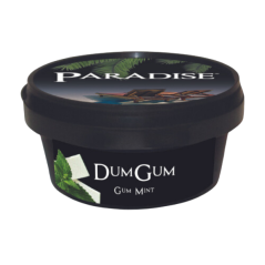 Paradise Steam Stones Dum Gum Mint