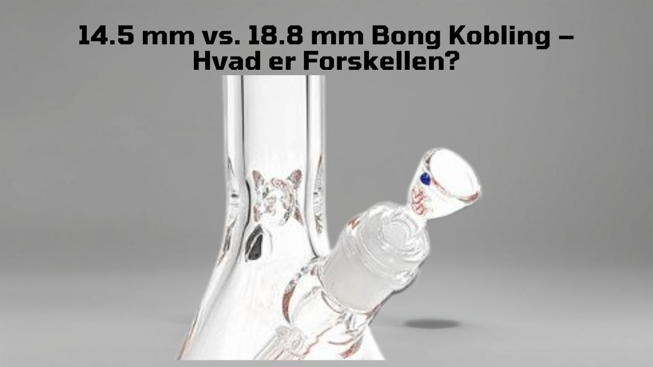 14.5 mm vs. 18.8 mm Bong – Hvilken Kobling Skal Du Vælge?
