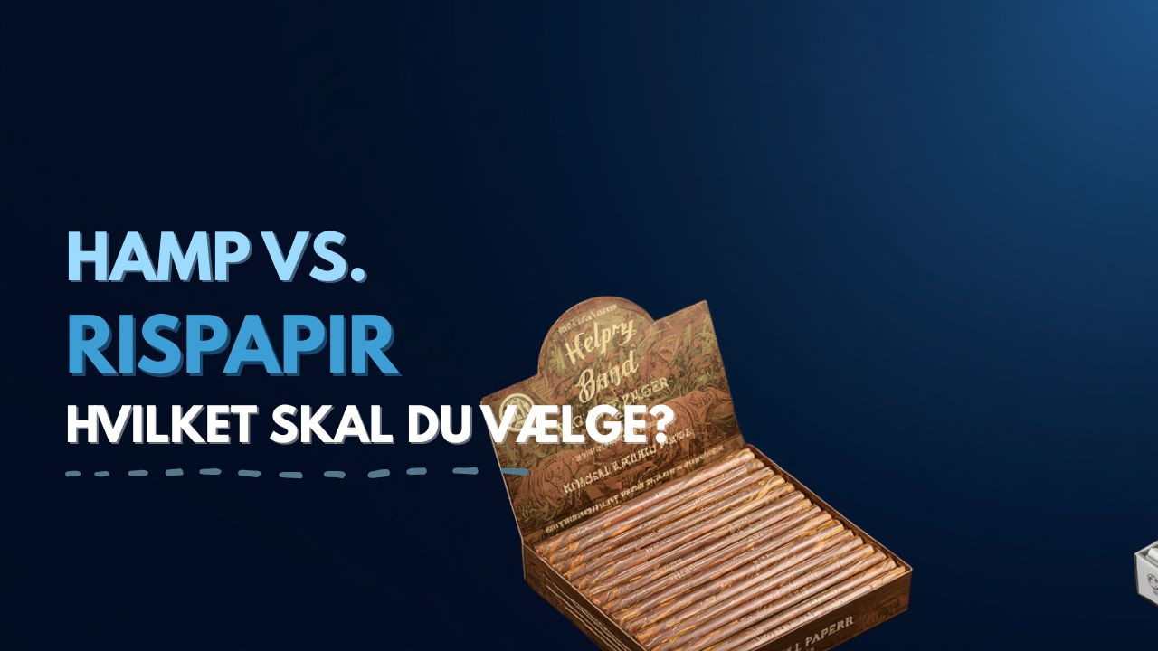 Hamp vs. Rispapir – Hvilket Jointpapir Skal Du Vælge? (2026)