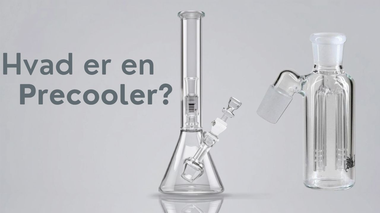 Hvad Er En Precooler? Guide Til Precoolers 