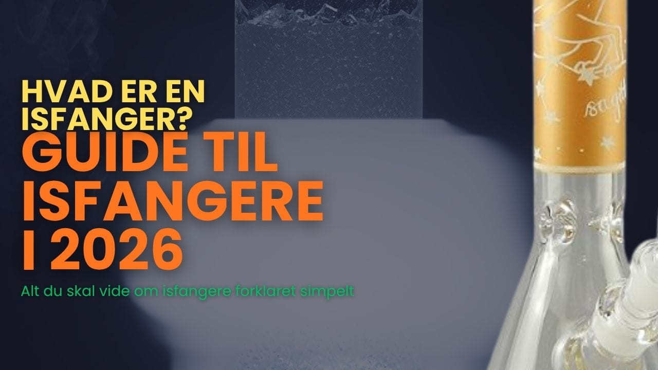 Hvad er Isfanger? Guide til Isfangere på Bonger 