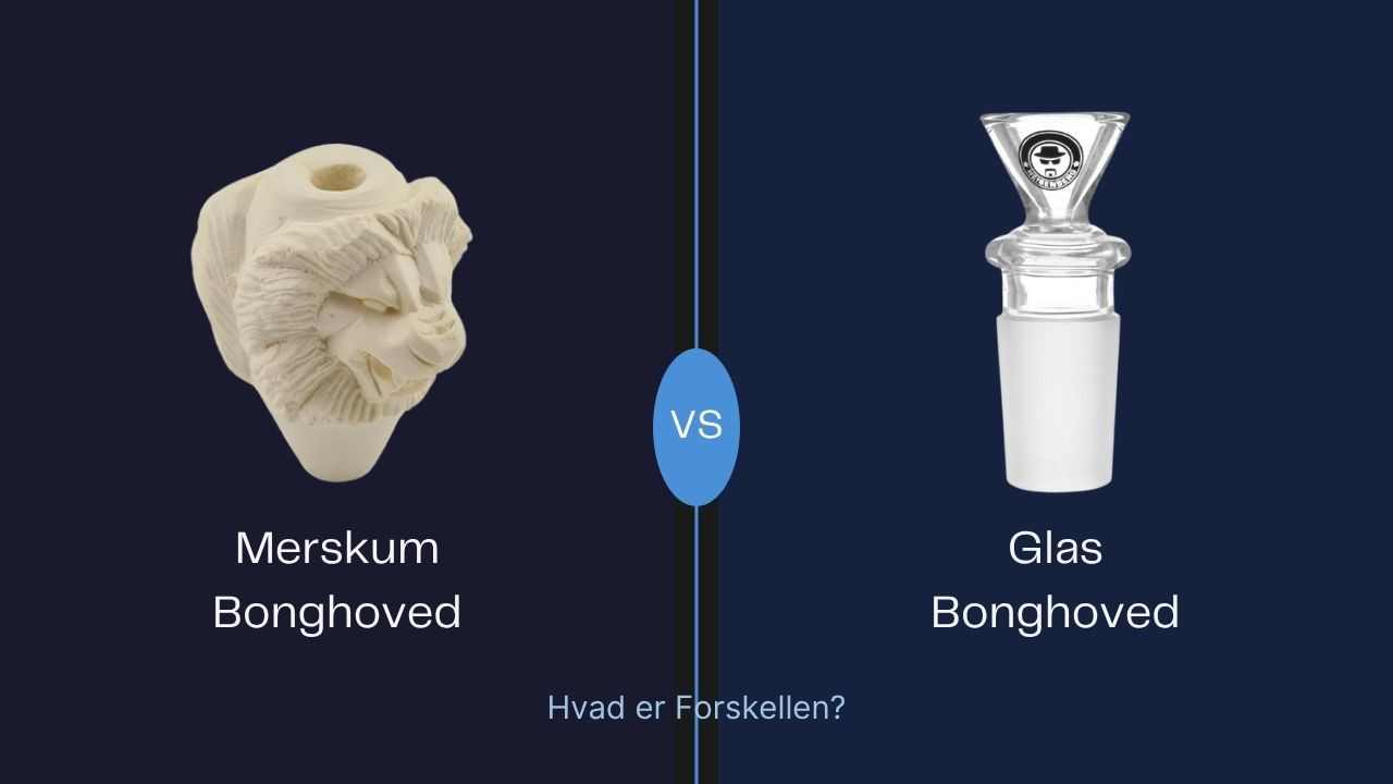 Merskum Bonghoved vs. Glas Bonghoved – Hvilket Skal Du Vælge?