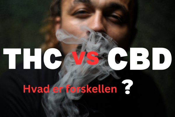 CBD vs THC: Forstå Forskellene og Deres Virkninger